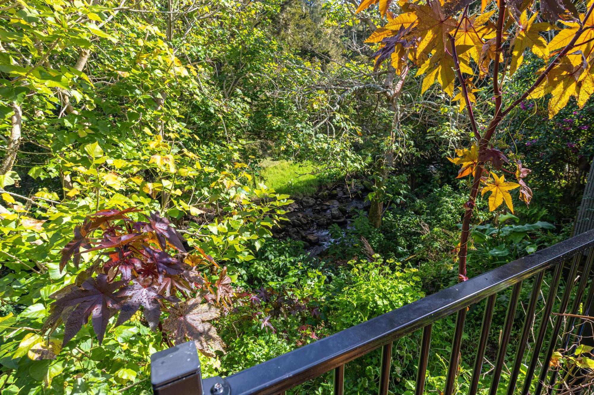 Waimoana Garden Accommodation Уангарей Екстериор снимка