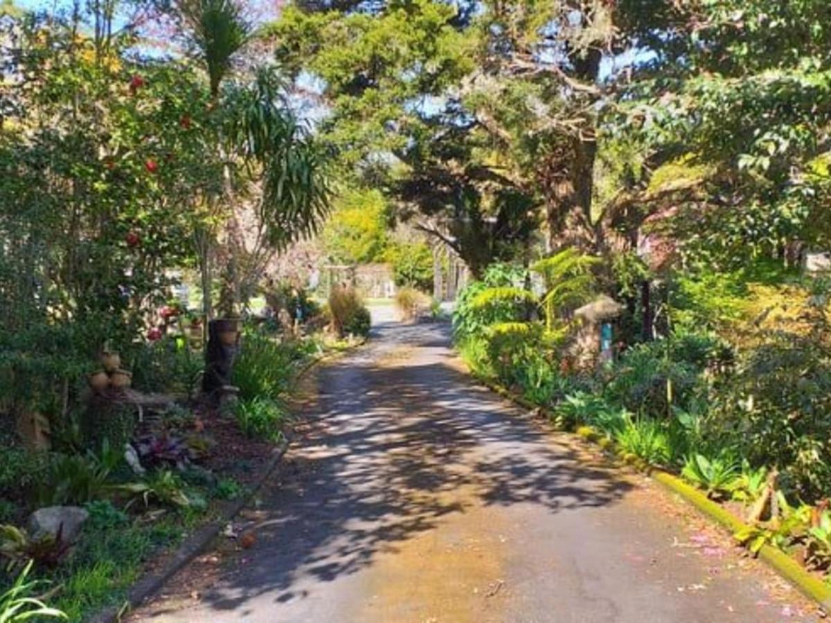 Waimoana Garden Accommodation Уангарей Екстериор снимка